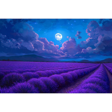 Night Sky Acrylic Canvas